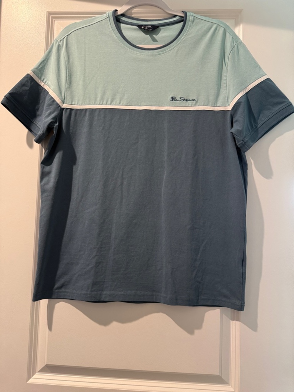 Ben Sherman Two-Tone Mint and Slate Crew Neck Tee
